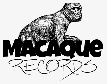 Macaque Records - Hippopotamus, HD Png Download, Free Download