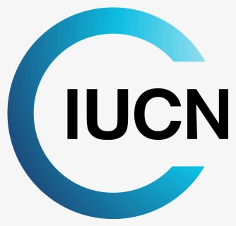 Iucn International Union For Conservation Of Nature - 9/11 Memorial, HD Png Download, Free Download