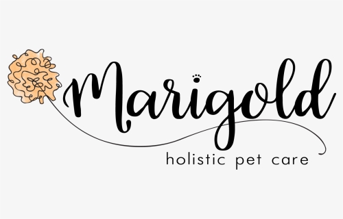 Marigold Holistic Pet Care - Calligraphy, HD Png Download, Free Download
