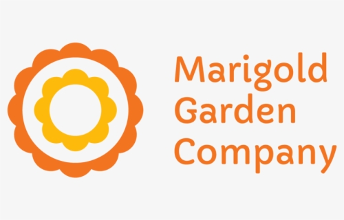 Marigold Png, Transparent Png, Free Download