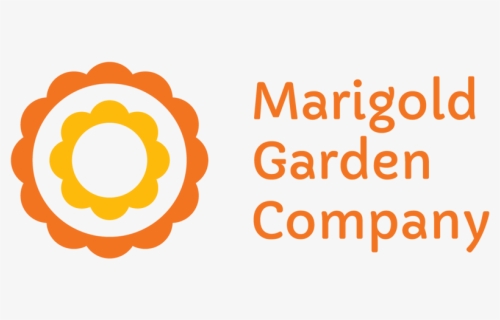 Marigold Png, Transparent Png, Free Download