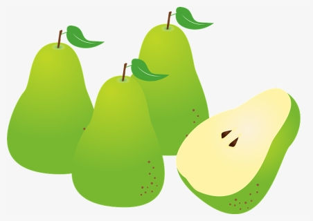 European Pear Fruits Clipart, HD Png Download, Free Download