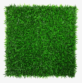 Hedge Wall, HD Png Download, Free Download
