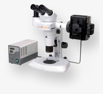 Microscope, HD Png Download, Free Download