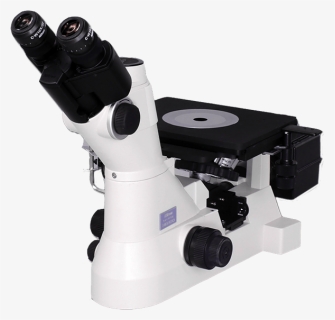 Digital Microscope Nikon 1000x, HD Png Download, Free Download