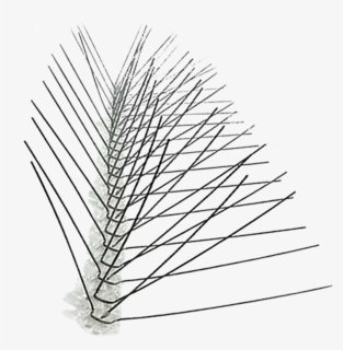 Stainless Steel Spikes 10′, 25′, 50′ And 100′ - Line Art, HD Png Download, Free Download