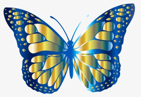 Monarch Butterfly 2 Variation - Butterfly Picture For Kids, HD Png Download, Free Download