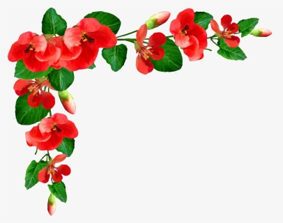 Poppy Flower Frame Png Picture - Bordure Fleur Png, Transparent Png, Free Download