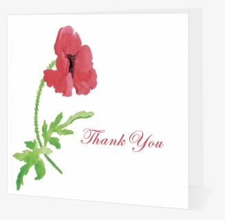 Poppy Thank You - Garden Roses, HD Png Download, Free Download