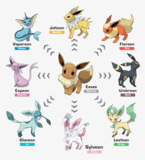 Picture - Every Eevee Evolution, HD Png Download, Free Download