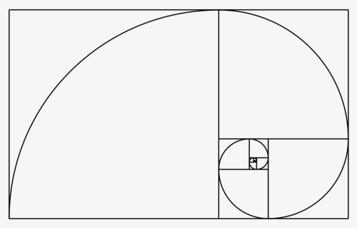 Fibonacci Spiral Png, Transparent Png, Free Download