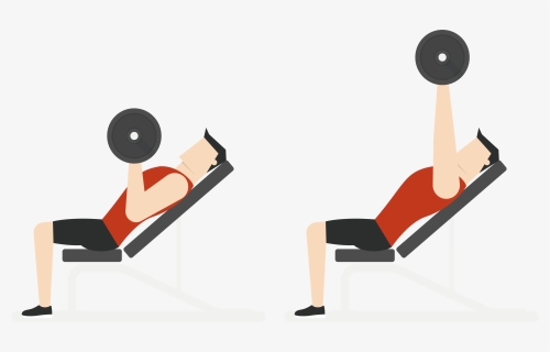 Exercise Bench Clipart Transparent - Transparent Gym Clipart, HD Png Download, Free Download