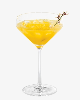 Snazzy Zest - Sidecar, HD Png Download, Free Download