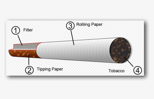 Cigarette 201403 Wma - Diagram Of A Cigarette, HD Png Download, Free Download