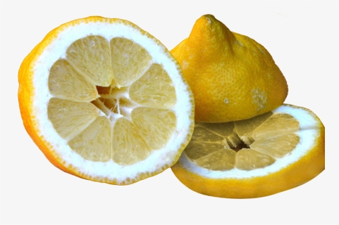 Orange, HD Png Download, Free Download