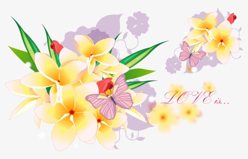 Acctractive Flower Bouquet Petal Wallpaper Desktop - Frangipani, HD Png Download, Free Download