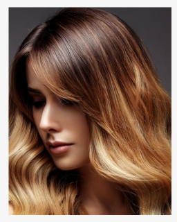 Long Woman Brown Hair - Strip Hair Color, HD Png Download, Free Download