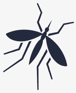 Mosquitopageicon - Bug, HD Png Download, Free Download