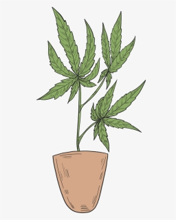 Marijuana In A Pot Clipart, HD Png Download, Free Download