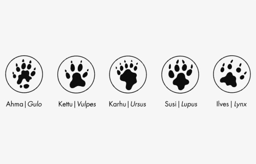 Paws Of Wolverine, Fox, Bear, Wolf And Lynx - Circle, HD Png Download, Free Download