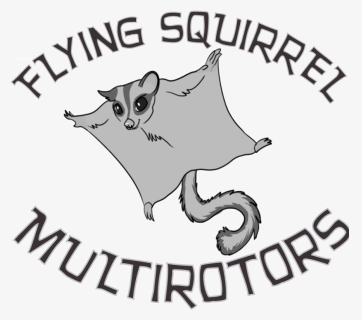 Drawing Flying Squirrel - Cartoon, HD Png Download, Free Download
