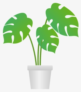 Monstera Houseplant Clipart - Flowerpot, HD Png Download, Free Download