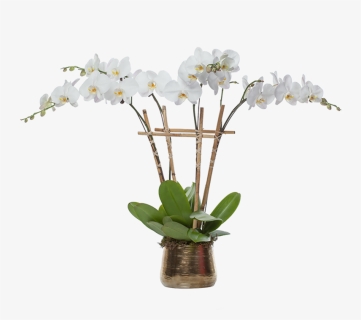 Multiple Orchid Planter - Artificial Flower, HD Png Download, Free Download