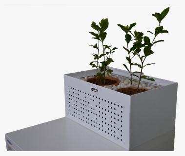 Flower Box , Png Download - Houseplant, Transparent Png, Free Download