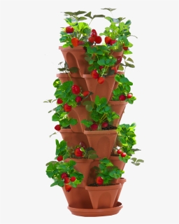 Stacked Strawberry Planter , Png Download - Strawberry Plant Png Pot, Transparent Png, Free Download