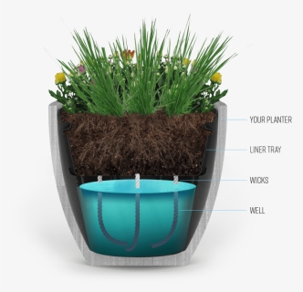 Our Liner Will Convert An Old Fashioned Planter Into - Flowerpot, HD Png Download, Free Download