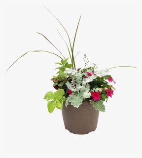 8 In Bella Spike Combination Planter, HD Png Download, Free Download