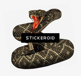 Eastern Diamondback Rattlesnake Clipart , Png Download - Eastern Diamondback Rattlesnake Drawing, Transparent Png, Free Download