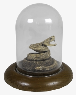 Small Rattlesnake In Glass Casing , Png Download - Serpent, Transparent Png, Free Download