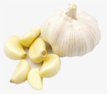 Garlic Body, HD Png Download, Free Download