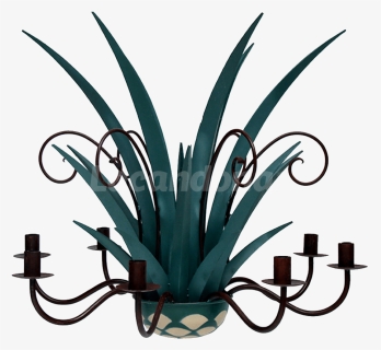 Agave Azul , Png Download - Agave Azul, Transparent Png, Free Download