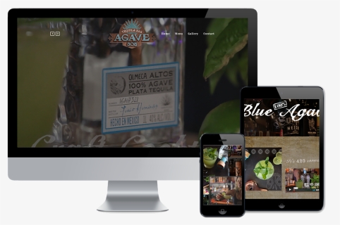 Agave - Wonderdog Studios, HD Png Download, Free Download
