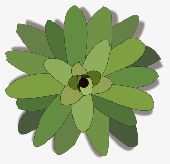Bromelia-02 Clip Arts - Top Of Tree Icon, HD Png Download, Free Download