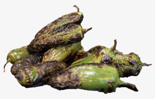 Jalapeño , Png Download - Eggplant, Transparent Png, Free Download