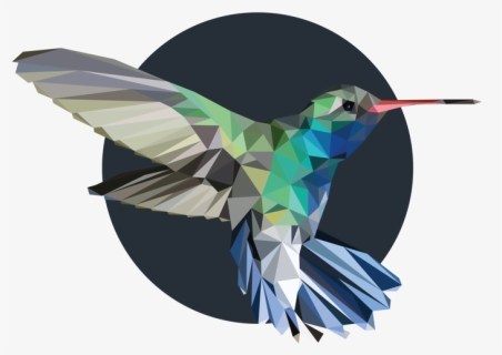 Hummingbird, HD Png Download, Free Download