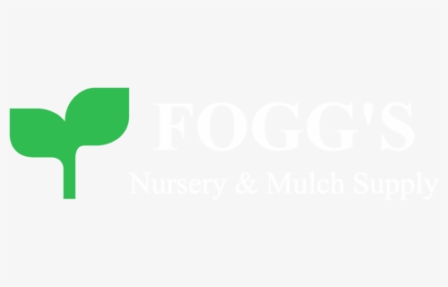 Our Fogg S Nursery - Parallel, HD Png Download, Free Download
