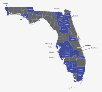 Map Of Florida Vector, HD Png Download, Free Download