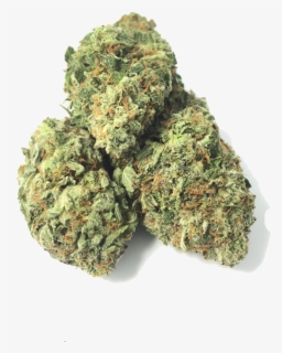 Death Tuna Indica The Healing Co - Muthia, HD Png Download, Free Download
