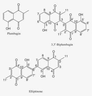 Diagram, HD Png Download, Free Download