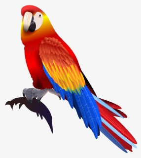 Vector Parrot Colored - Vector Parrot Png, Transparent Png, Free Download