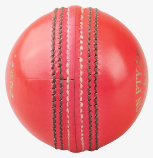 Cricket , Png Download - Cricket, Transparent Png, Free Download