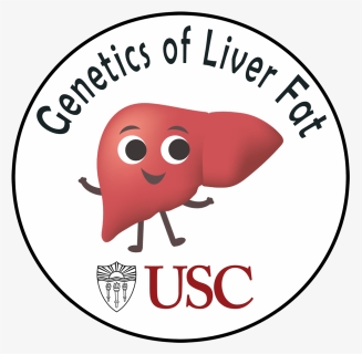 Liver-3026639 9 Circle New 20190620 - University Of Southern California, HD Png Download, Free Download