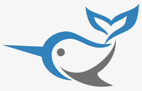 Narwhal Png , Png Download - Narwhal Png, Transparent Png, Free Download