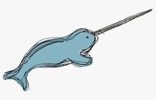Narwhal , Png Download - Narwhal Clipart Transparent Background, Png Download, Free Download