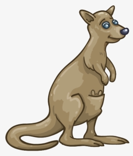 Kangaroo Wallaby Png Clipart - Wallaby Transparent, Png Download, Free Download