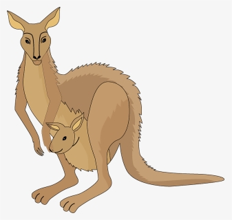 Kangaroo Clipart - Kangaroo, HD Png Download, Free Download